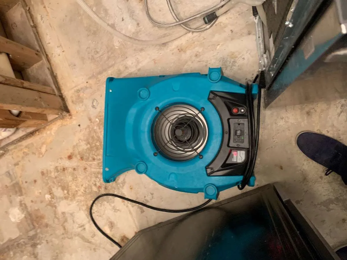 Air mover drying equipment for Mold Remediation & Removal in Edgewater